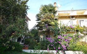 Apartments Miriam Srima
