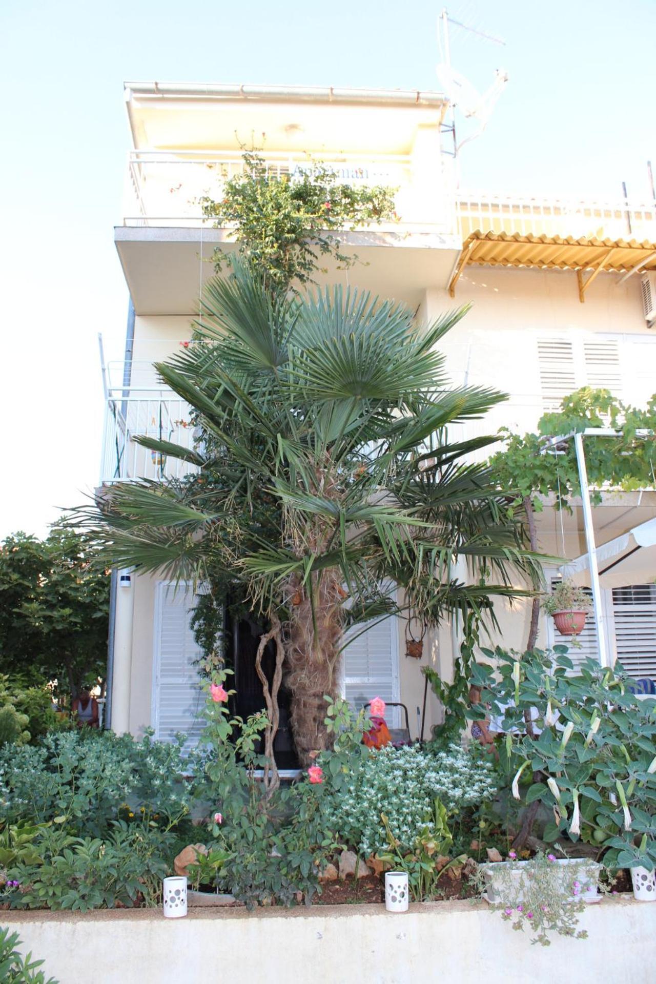 Apartments Miriam Srima Vodice Zewnętrze zdjęcie