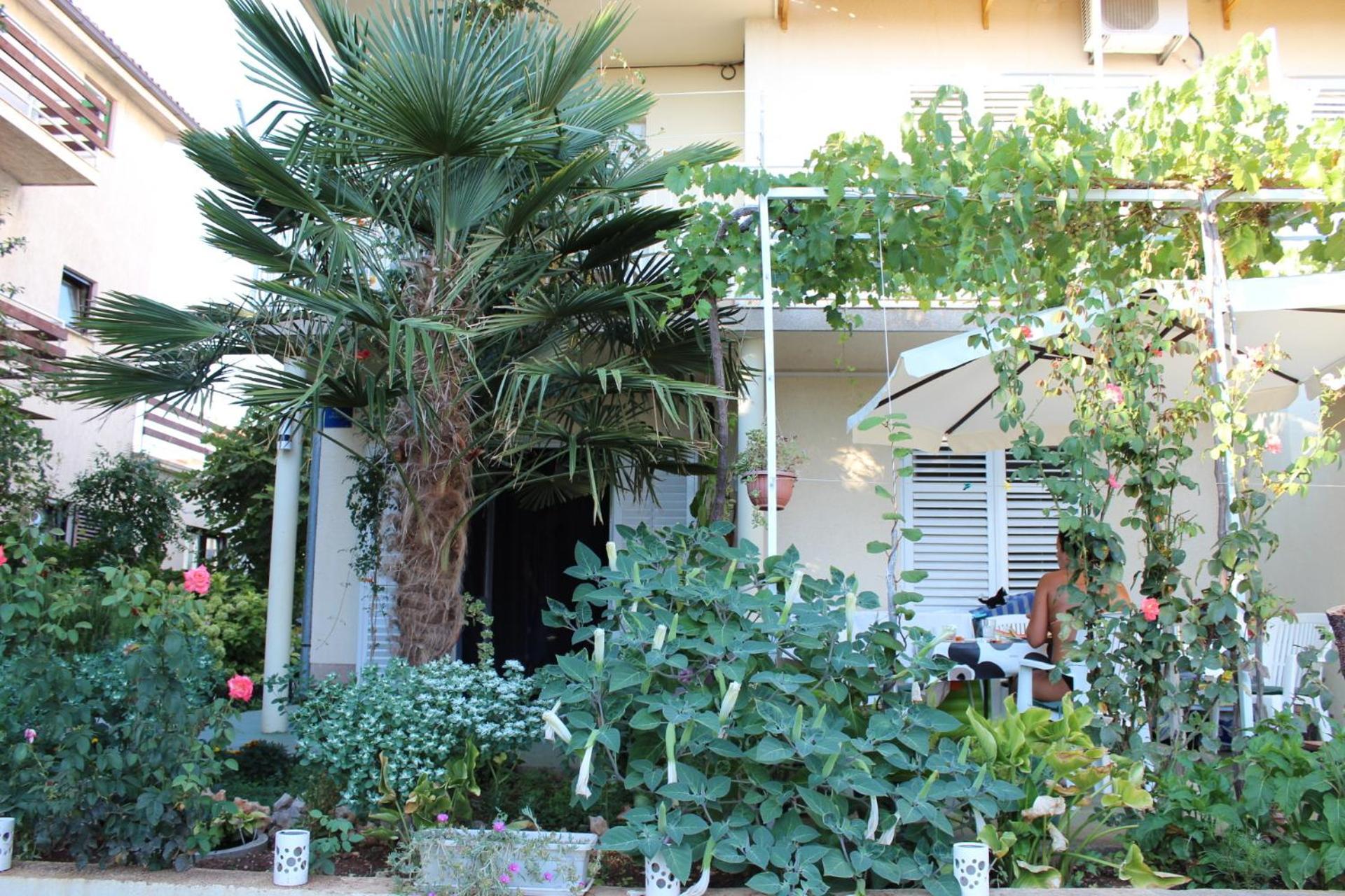 Apartments Miriam Srima Vodice Zewnętrze zdjęcie