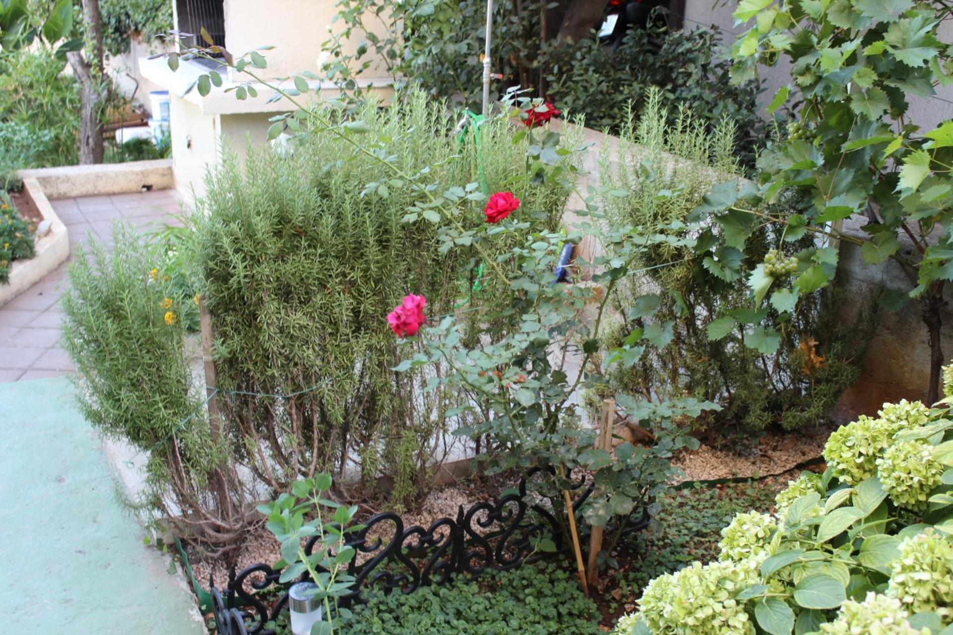 Apartments Miriam Srima Vodice Zewnętrze zdjęcie